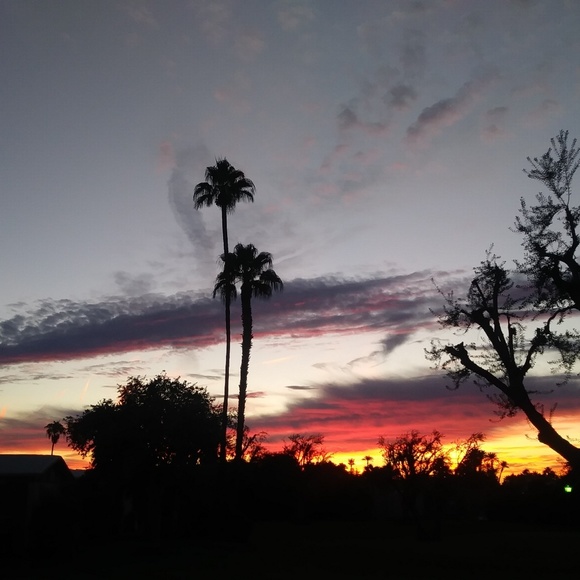 About Me 🌴🌵🌞✌🙏💜 - Picture 6 of 8